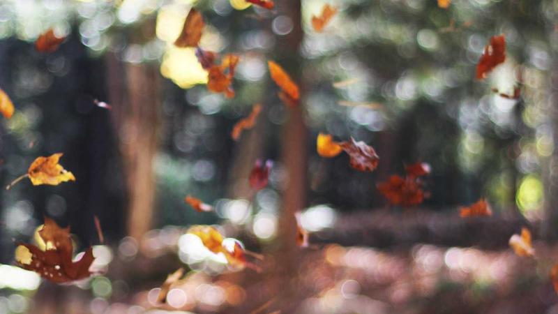 币圈合约新闻资讯前沿动态
